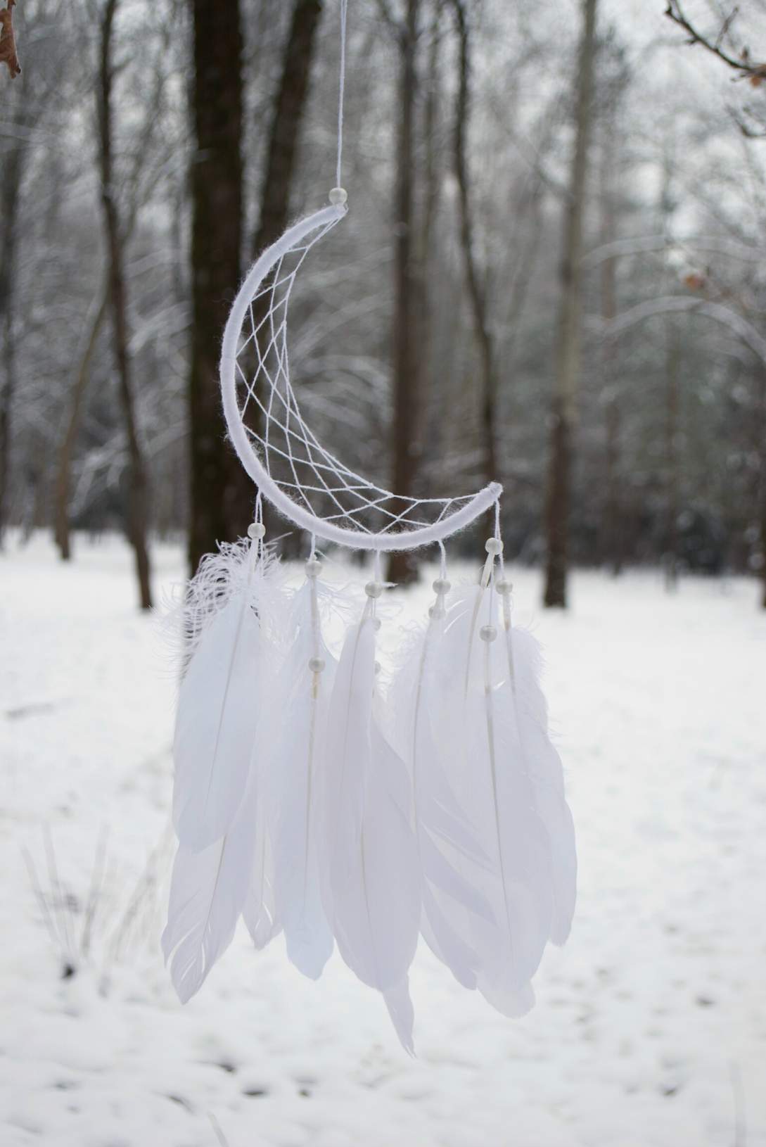 sapnų gaudyklės nuotrauka